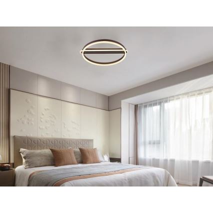 LED stropna svjetiljka s mogućnošću prigušivanja LED/60W/230V 3000-6500K + daljinski upravljač