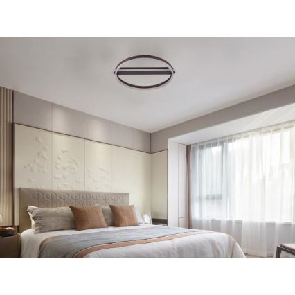 LED stropna svjetiljka s mogućnošću prigušivanja LED/60W/230V 3000-6500K + daljinski upravljač