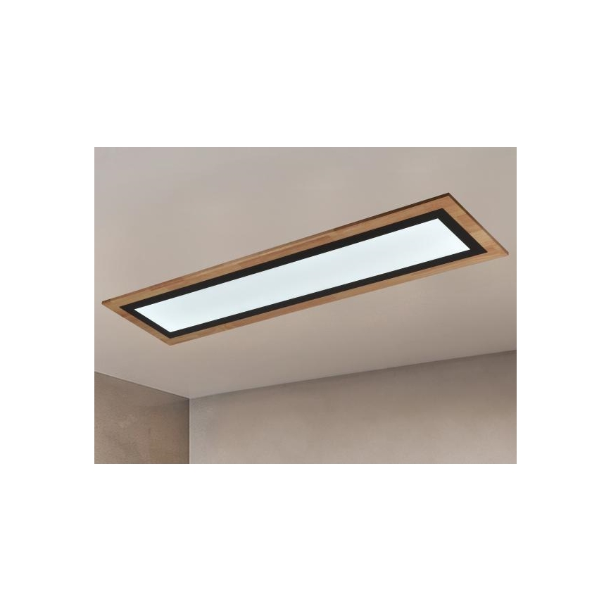 LED stropna svjetiljka s prigušivanjem LED/55W/230V 3000-6500K + daljinski upravljač