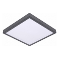 LED stropna svjetiljka s senzorom pokreta i sumraka VITALI LED/24W/230V 4000K 33x33 cm antracit
