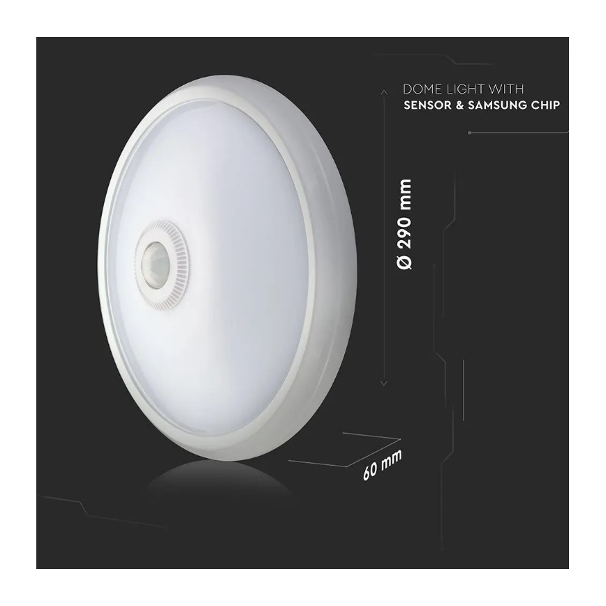 LED Stropna svjetiljka sa senzorom LED/12W/230V 4000K
