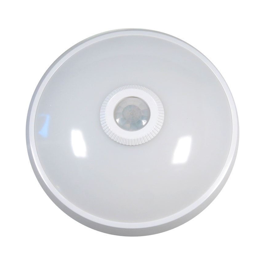 LED Stropna svjetiljka sa senzorom LED/12W/230V
