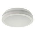 LED stropna svjetiljka sa senzorom pokreta LED/20W/230V 3000/4000/6500K Ø 230 cm IP54 siva