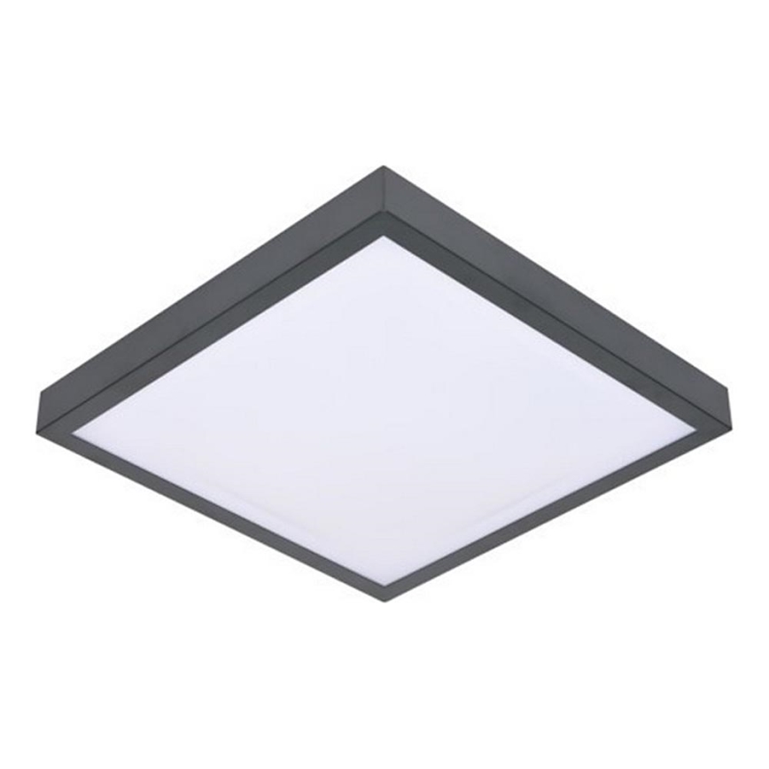 LED Stropna svjetiljka sa senzorom VITALI LED/24W/230V 4000K