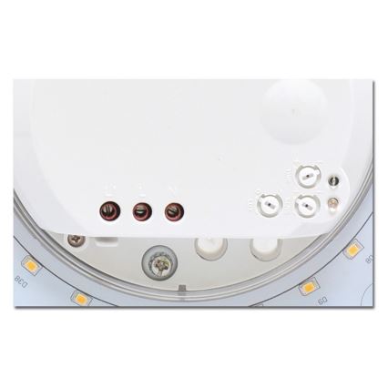 LED Stropna svjetiljka sa senzorom za kupaonicu VICTOR LED/25W/230V IP44
