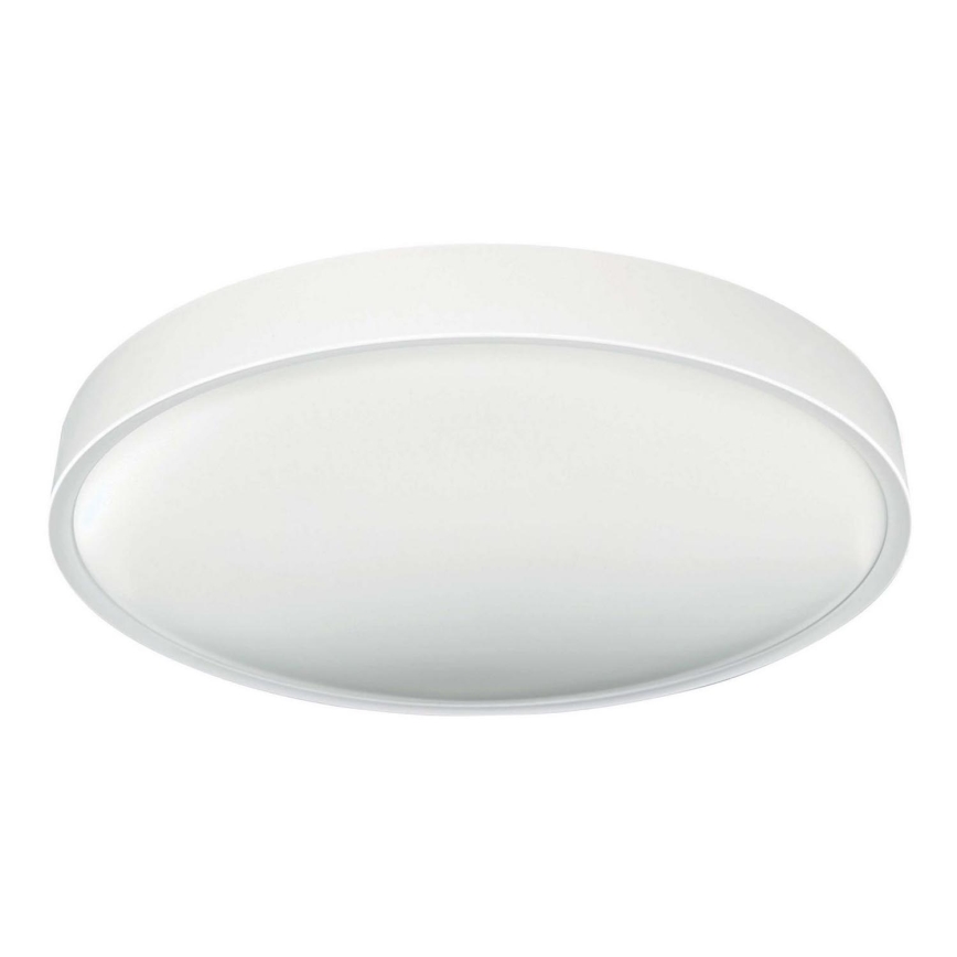 LED Stropna svjetiljka SAMER LED/24W/230V 4000K