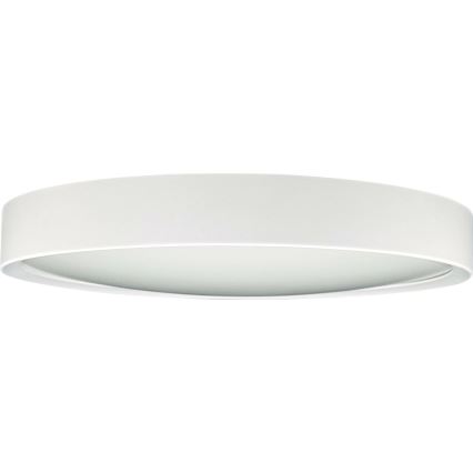 LED Stropna svjetiljka SAMER LED/24W/230V 4000K