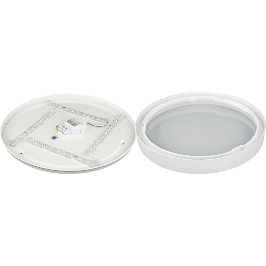 LED Stropna svjetiljka SAMER LED/24W/230V 4000K