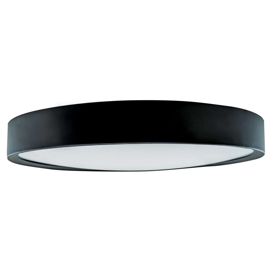 LED Stropna svjetiljka SAMER LED/24W/230V 4000K