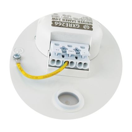 LED Stropna svjetiljka SAMER LED/24W/230V 4000K