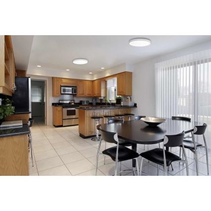 LED Stropna svjetiljka SAMER LED/32W/230V 4000K