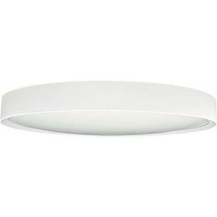 LED Stropna svjetiljka SAMER LED/32W/230V 4000K