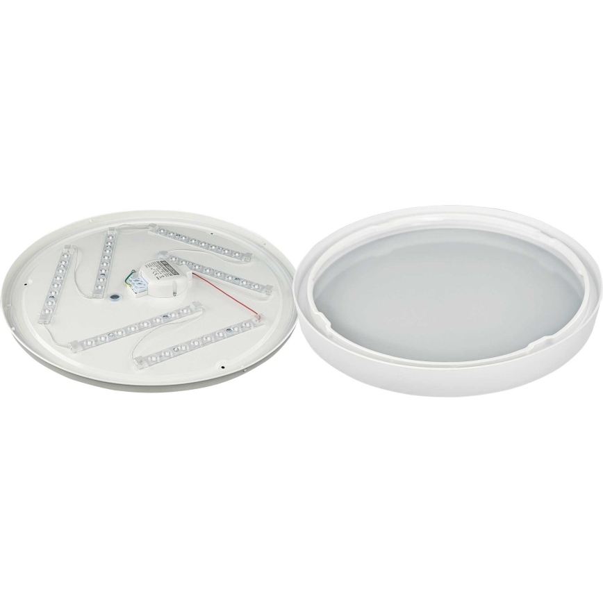 LED Stropna svjetiljka SAMER LED/32W/230V 4000K