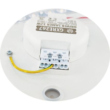 LED Stropna svjetiljka SAMER LED/32W/230V 4000K