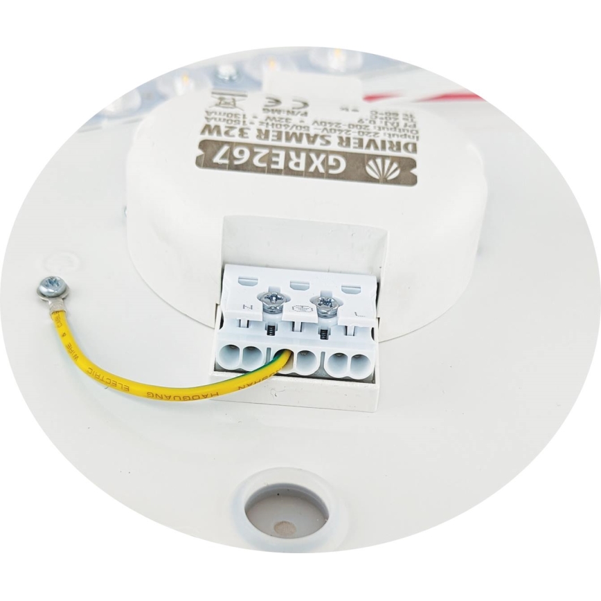 LED Stropna svjetiljka SAMER LED/32W/230V 4000K