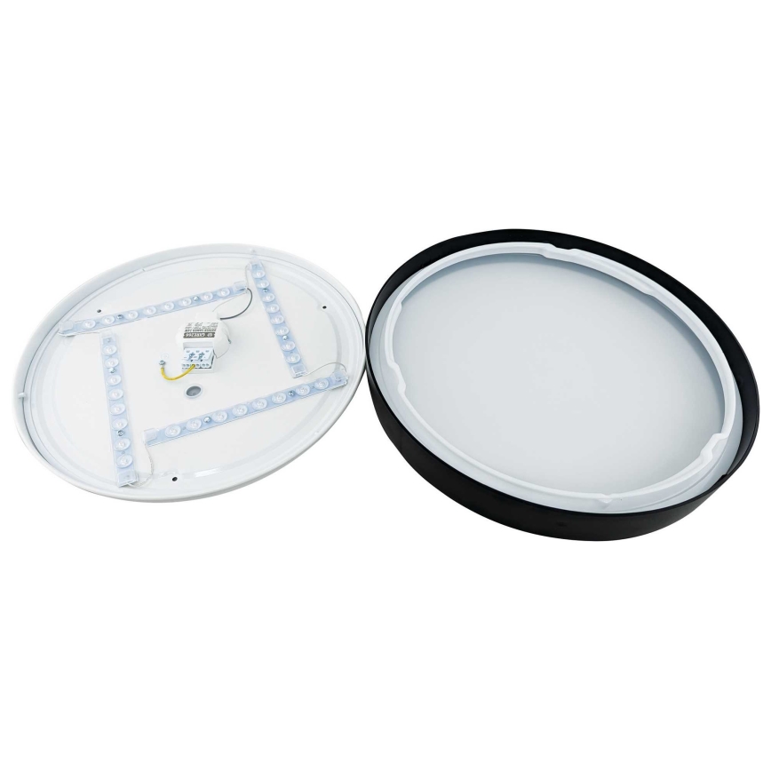 LED Stropna svjetiljka SAMER LED/32W/230V 4000K