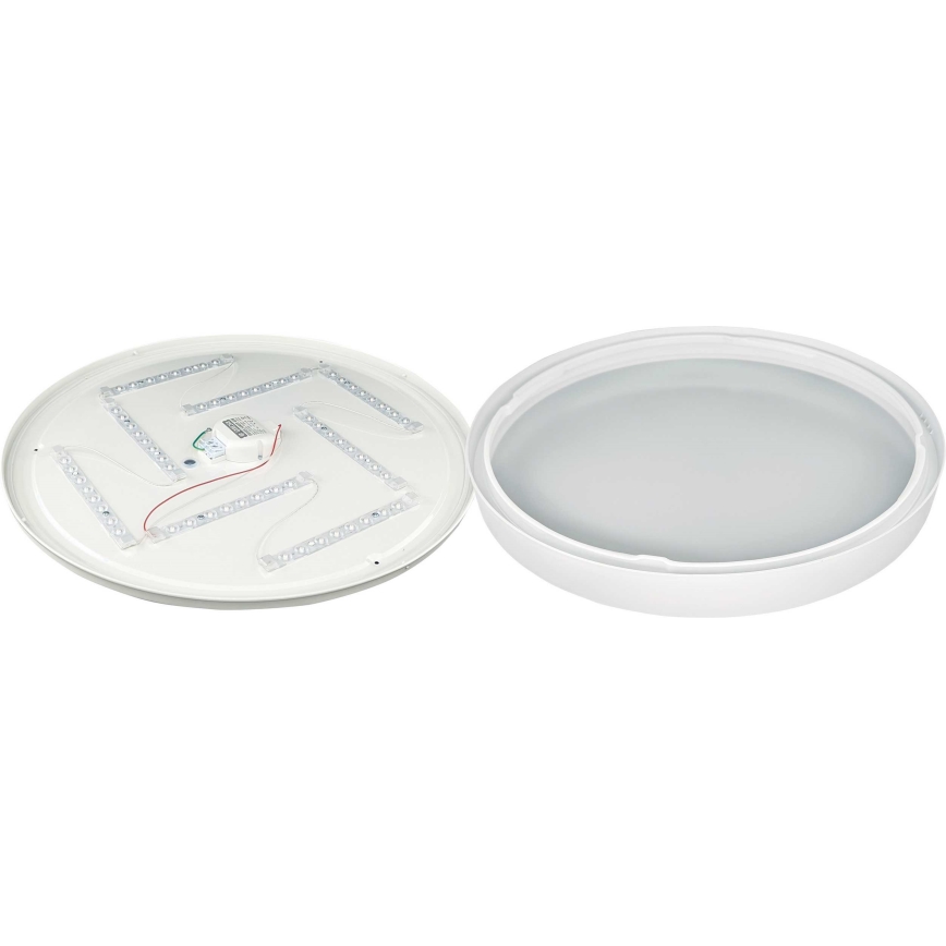 LED Stropna svjetiljka SAMER LED/40W/230V 4000K