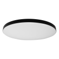 LED stropna svjetiljka SIENA s mogućnošću prigušivanja LED/80W/230V 3000-6000K promjer 75 cm crna + daljinski upravljač