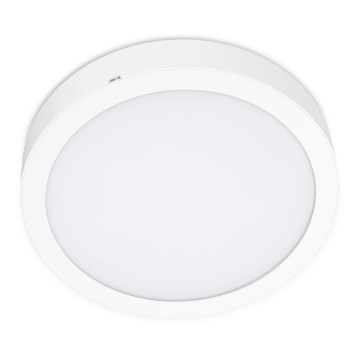 LED Stropna svjetiljka SIGARO CIRCLE LED/18W/230V 4000K IP40