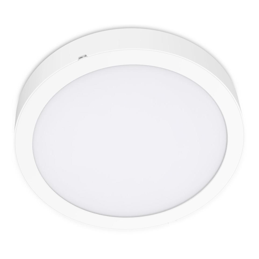 LED Stropna svjetiljka SIGARO CIRCLE LED/24W/230V 4000K IP40