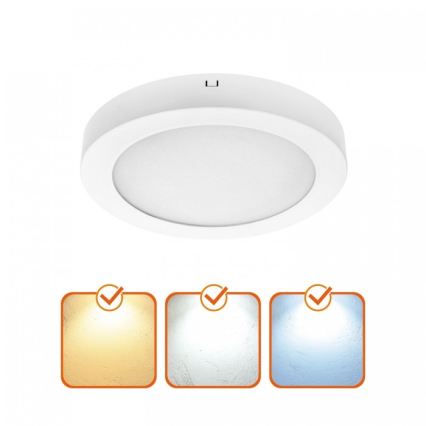 LED stropna svjetiljka SIGARO LED/18W/230V 3000/4000/6500K Ø 22 cm bijela