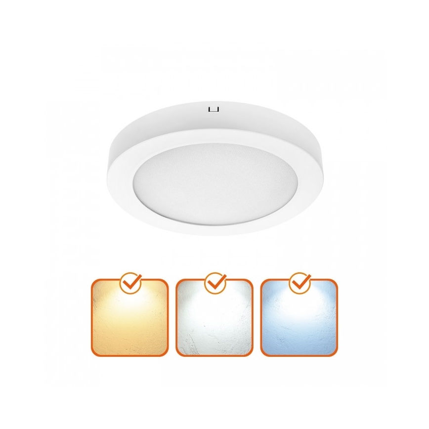 LED stropna svjetiljka SIGARO LED/24W/230V 3000/4000/6500K Ø 22 cm bijela