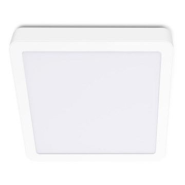 LED Stropna svjetiljka SIGARO SQUARE LED/18W/230V 4000K IP40