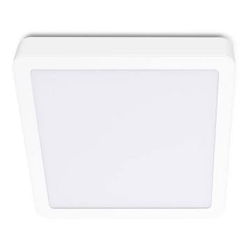 LED Stropna svjetiljka SIGARO SQUARE LED/24W/230V 4000K IP40