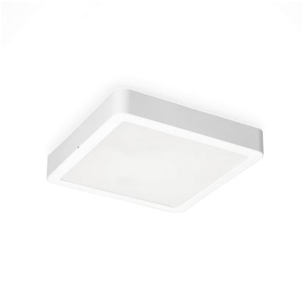LED Stropna svjetiljka SIGARO SQUARE LED/24W/230V 4000K IP40
