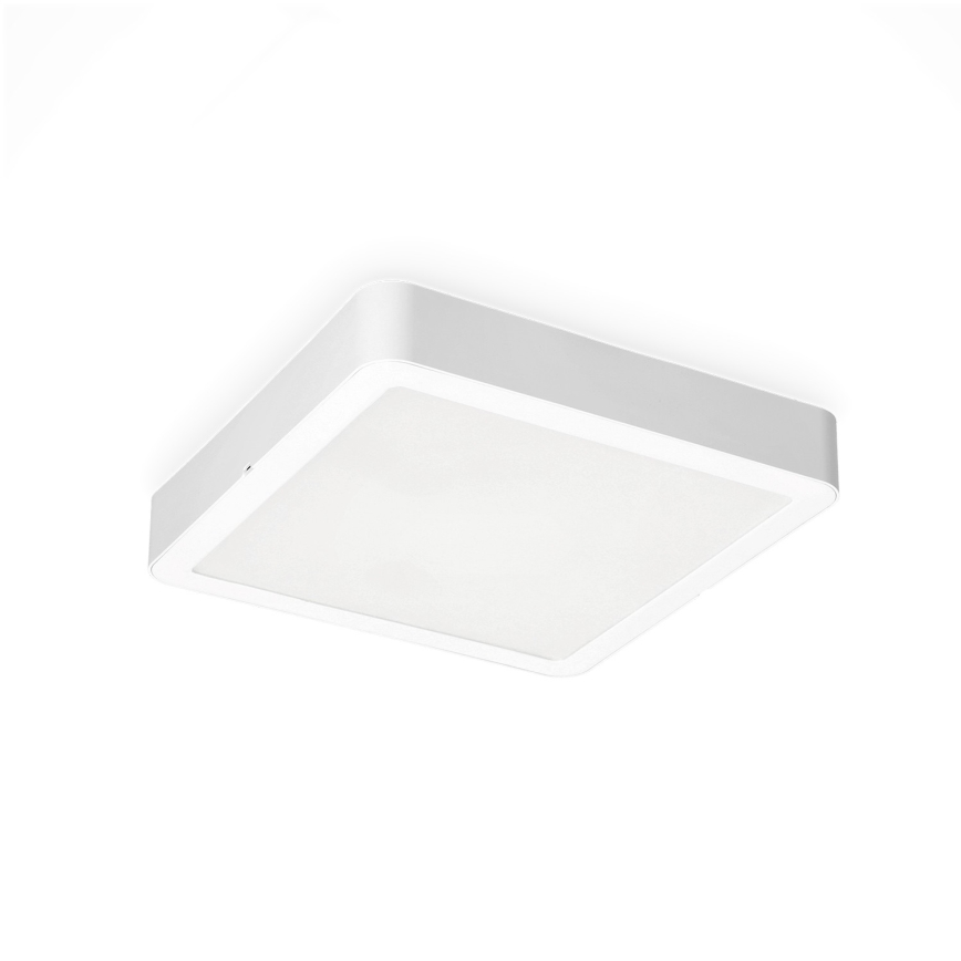 LED Stropna svjetiljka SIGARO SQUARE LED/24W/230V 4000K IP40