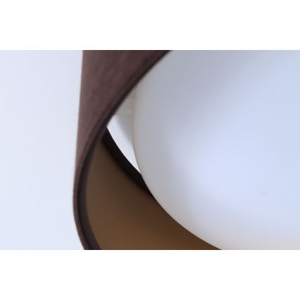 LED Dimmabilni stropni luster SMART GALAXY LED/24W/230V promjer 44 cm smeđa/zlatna 3000-6500K + daljinski upravljač