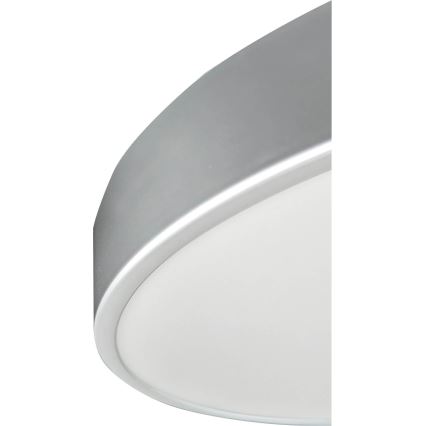 LED Stropna svjetiljka TAURUS LED/16W/230V pr. 20,5 cm