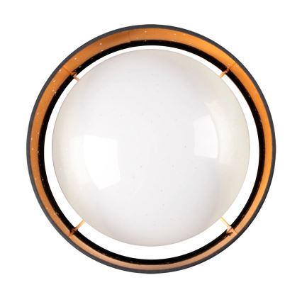 LED Stropna svjetiljka TULUZA LED/18W/230V pr. 32 cm crna