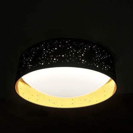 LED Stropna svjetiljka TULUZA LED/24W/230V pr. 40 cm crna
