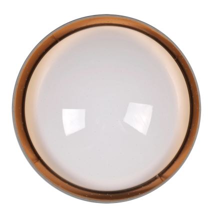 LED Stropna svjetiljka TULUZA LED/24W/230V pr. 40 cm smeđa