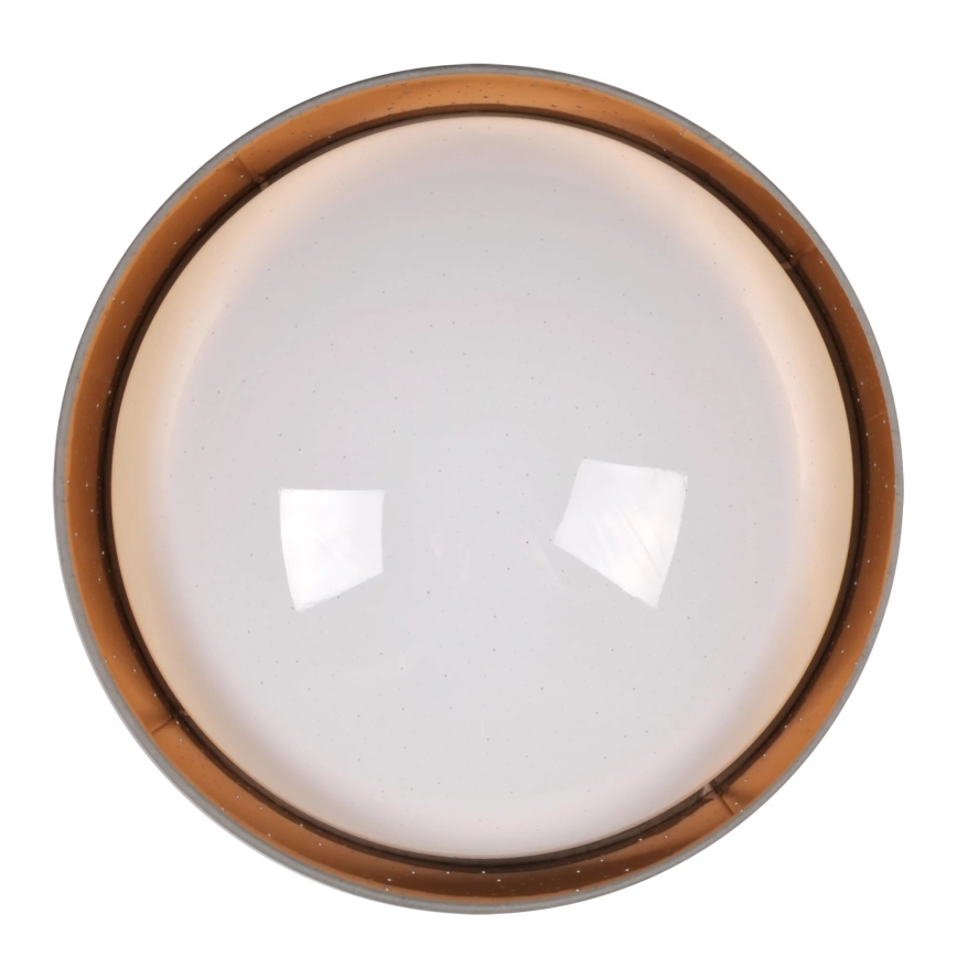 LED Stropna svjetiljka TULUZA LED/24W/230V pr. 40 cm smeđa