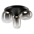LED Stropna svjetiljka VASO LED/12W/230V pr. 42 cm crna/dimna