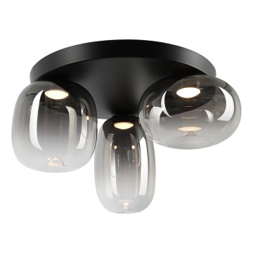 LED Stropna svjetiljka VASO LED/12W/230V pr. 42 cm crna/dimna