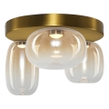 LED Stropna svjetiljka VASO LED/12W/230V pr. 42 cm zlatna/dimna