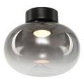 LED Stropna svjetiljka VASO LED/4W/230V pr. 18 cm crna/dimna