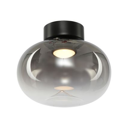 LED Stropna svjetiljka VASO LED/4W/230V pr. 18 cm dimna