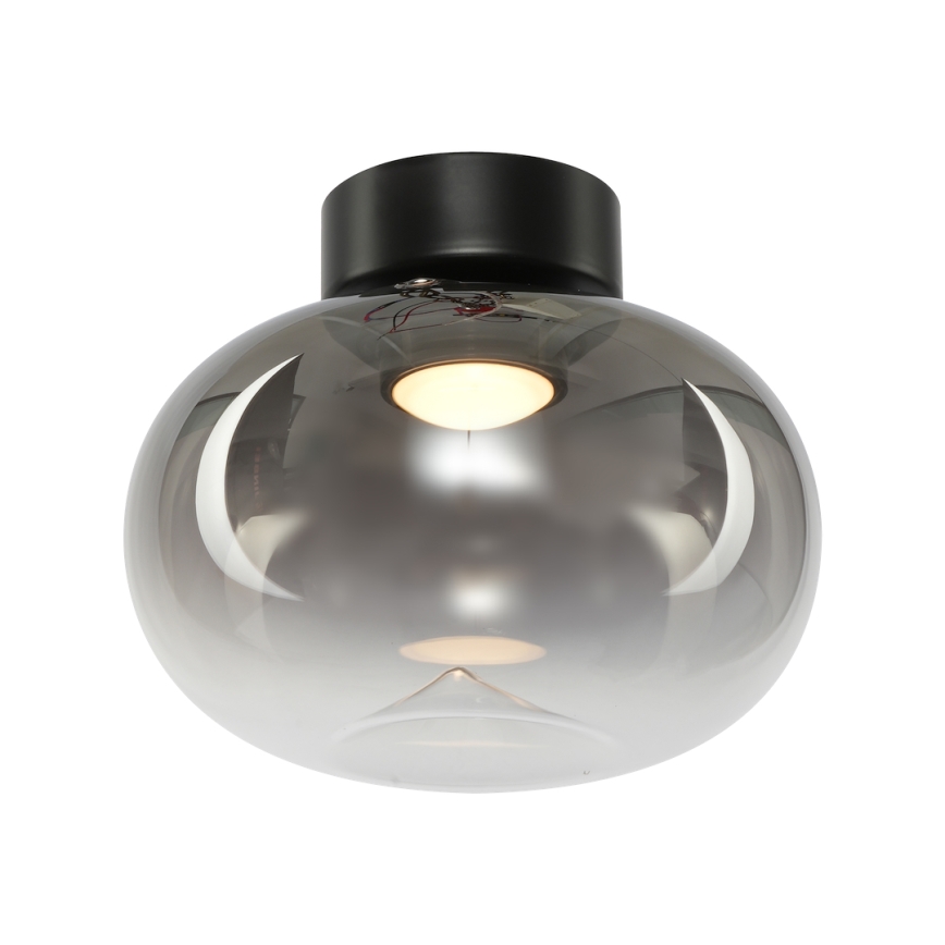 LED Stropna svjetiljka VASO LED/4W/230V pr. 18 cm dimna