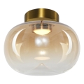 LED Stropna svjetiljka VASO LED/4W/230V pr. 18 cm zlatna/dimna