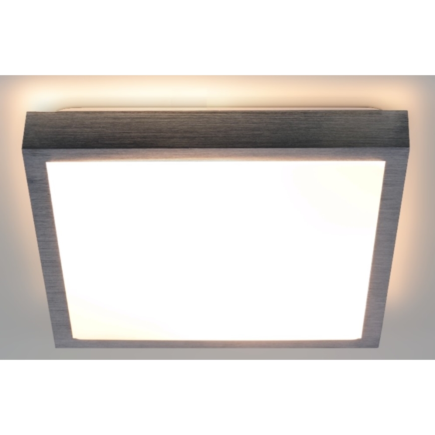 LED Stropna svjetiljka VITAL LED/24W/230V mat krom