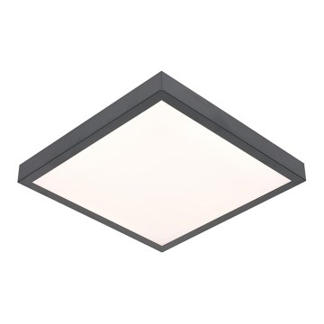 LED Stropna svjetiljka VITALI LED/24W/230V