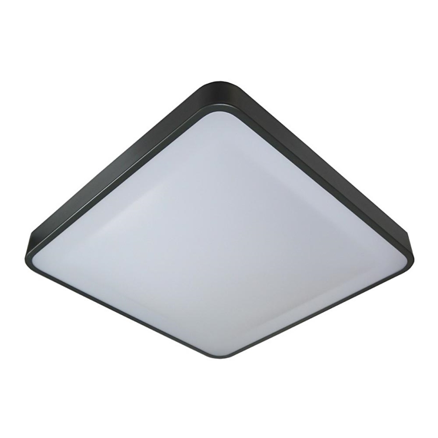 LED Stropna svjetiljka WILTON LED/24W/230V 37,5x37,5 cm antracit