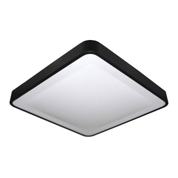 LED Stropna svjetiljka WILTON LED/24W/230V 37,5x37,5 cm crna