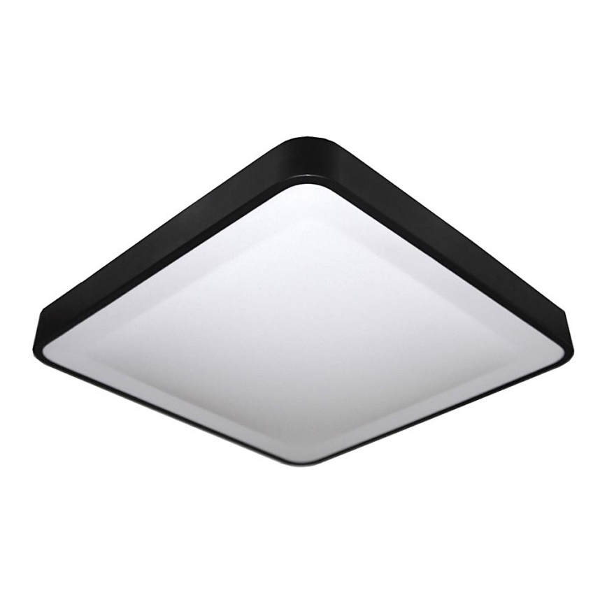 LED Stropna svjetiljka WILTON LED/24W/230V 37,5x37,5 cm crna