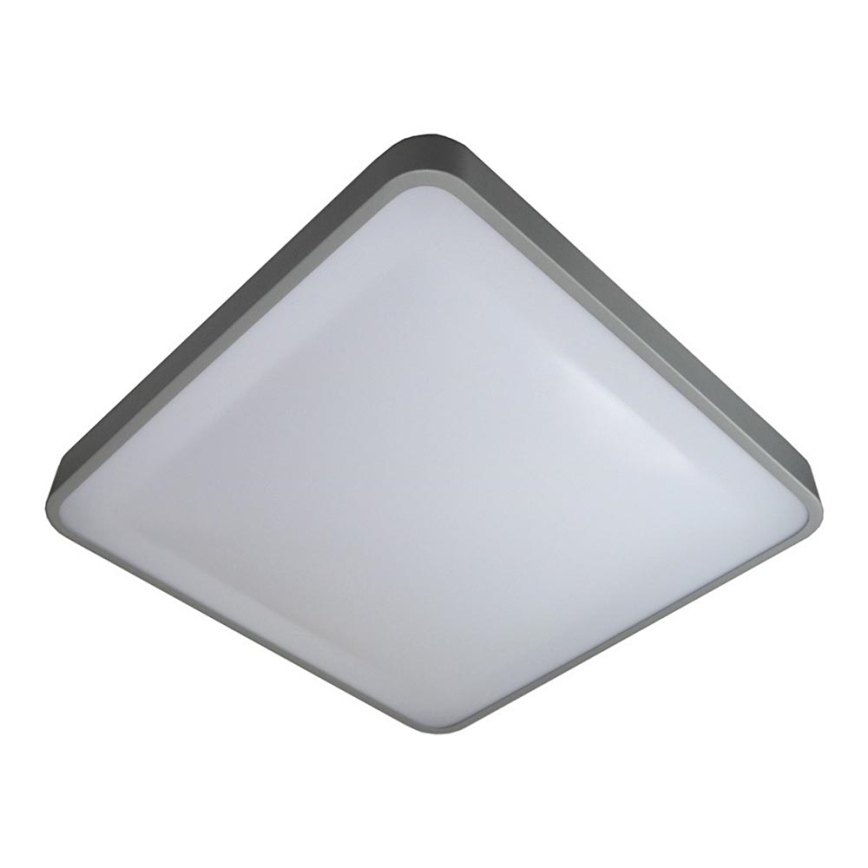 LED Stropna svjetiljka WILTON LED/24W/230V 37,5x37,5 cm siva