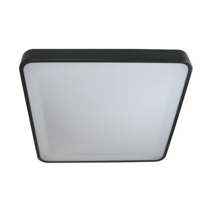 LED Stropna svjetiljka WILTON LED/24W/230V 37,5x37,5 cm antracit
